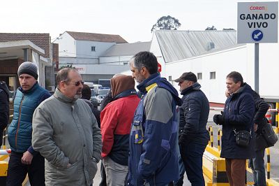 2016 03 17 FolgaServicarneFrigolouro08.JPG